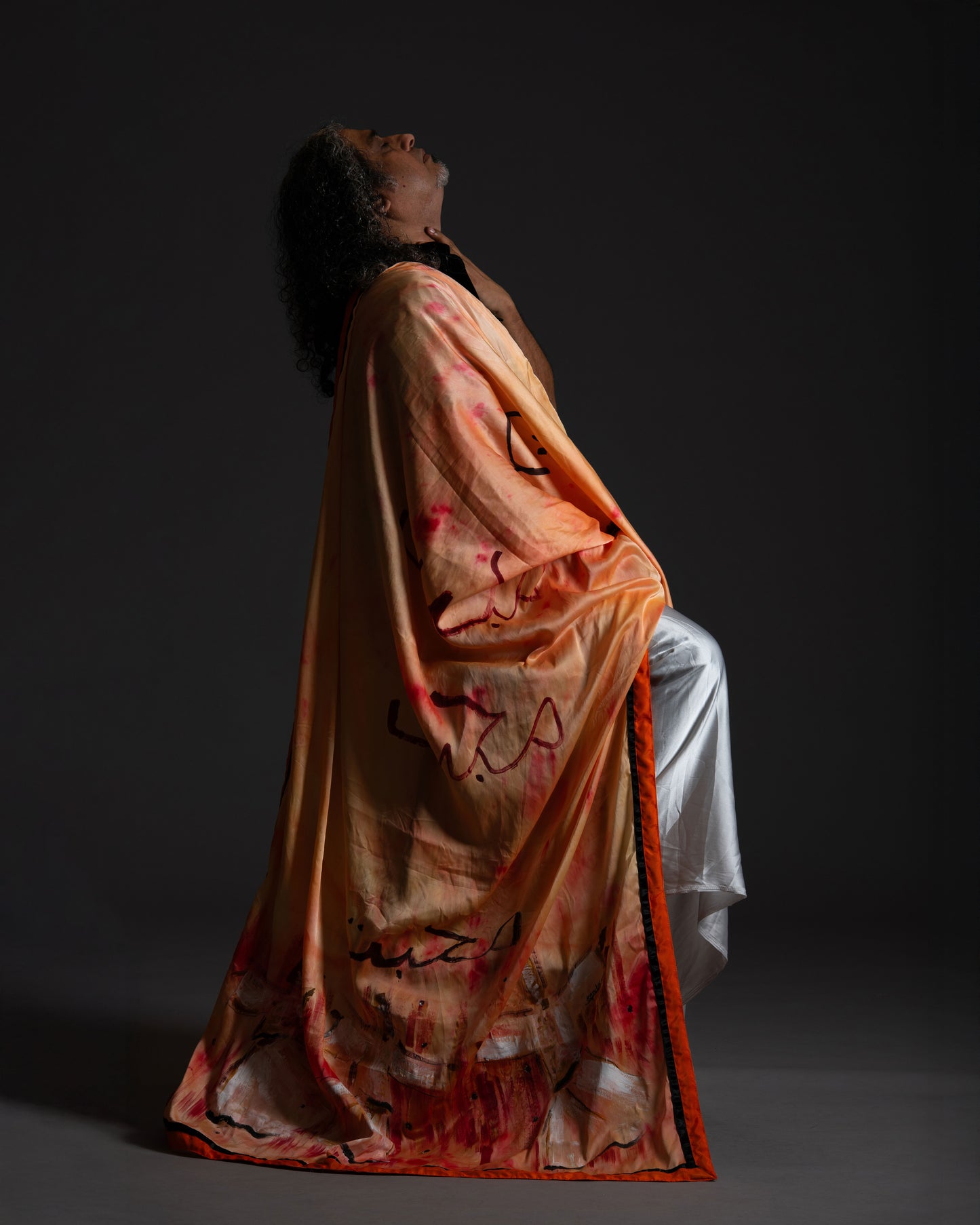 The 'Dervish' Sari