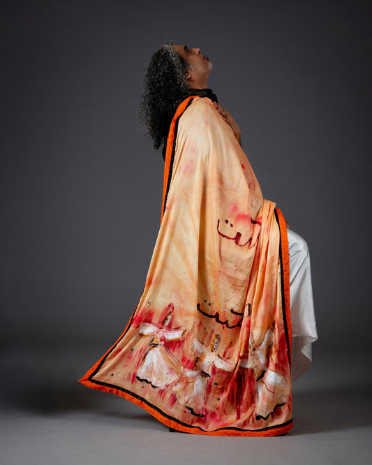 The 'Dervish' Sari